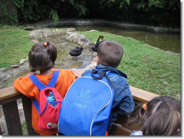 Diapositiva siguiente